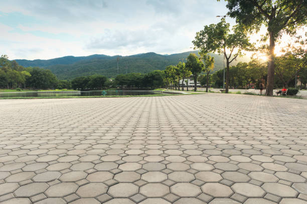 Professional Driveway Pavers in Woodbury, TN